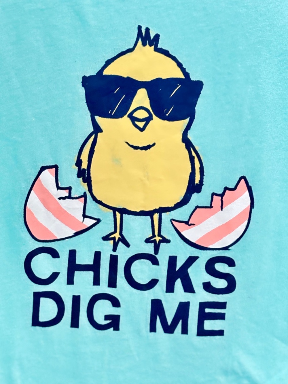 NEW Toddler Boys CHICKS DIG ME Easter T Shirt Light Blue Chick Egg Sz 5T - Picture 2 of 5